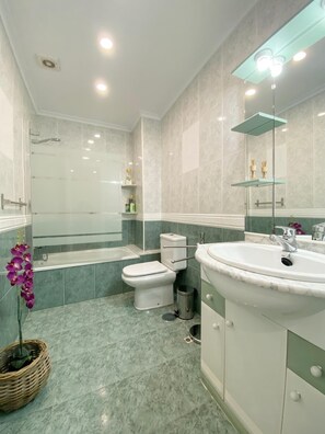 Shower, hair dryer, bidet, towels
