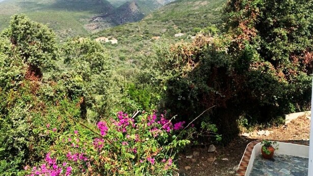 A mountainous landscape with a view of distant hills and a garden area with purple flowers. - Villa Torre Blanca in Farinole (Farinole)