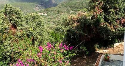 Villa Torre Blanca in Farinole