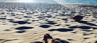 Comfortable holiday homes close to the beach