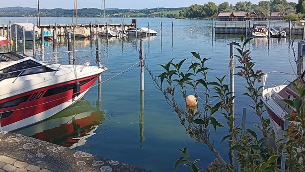A marina with boats docked, calm water, and a clear sky. - Alexa, the cozy bright vacation apartment in Überlingen, 10 minutes walk to the lake (Überlingen)