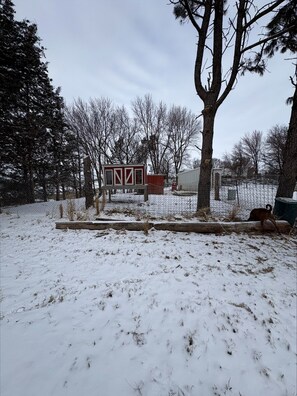 Property grounds - Charming Cozy Home on 2.75 acres, horse rides are available on request. (Blair)