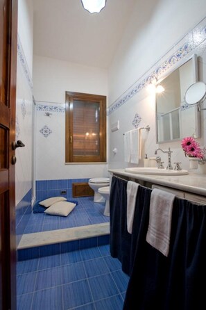 Shower, hair dryer, bidet, towels