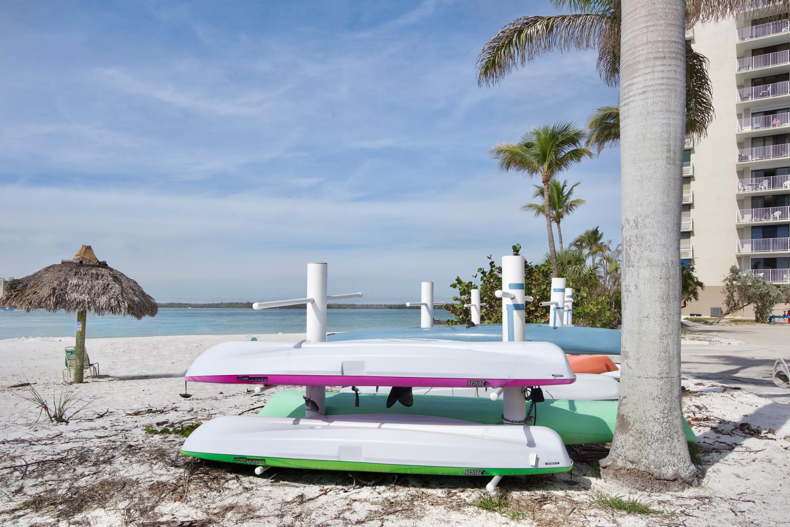 A beach with a thatched umbrella, a pool area with lounge chairs, and a palm tree.