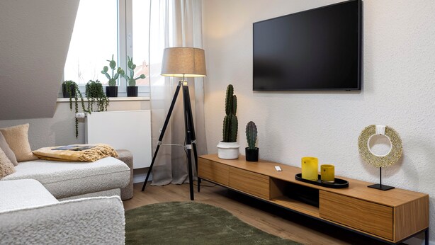 Un salon moderne avec un canapé, une table basse, une lampe, un téléviseur à écran plat et des plantes en pot.