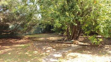 Área da propriedade