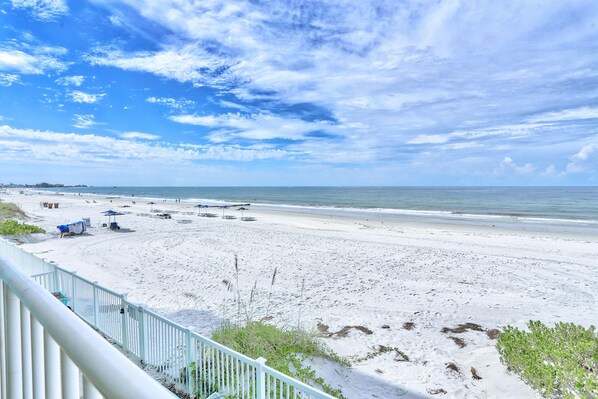 คอนโด, หลายเตียง (Arena De Madeira 103 - Premier) | ชายหาด | บนชายหาด