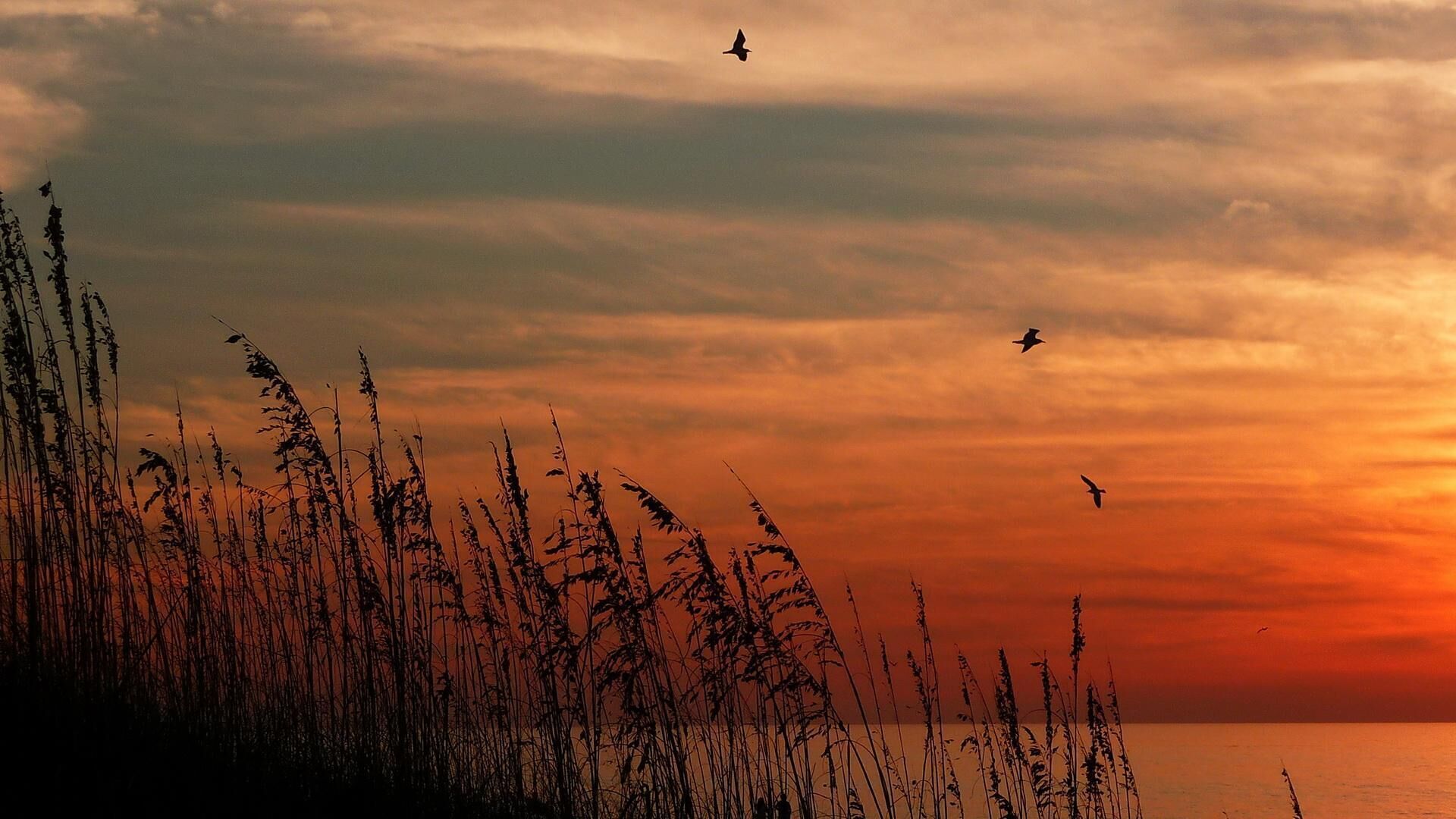 Condo, Multiple Beds (Crystal Palms 405) | Miscellaneous