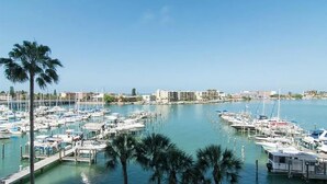 A marina with numerous boats docked, palm trees, and buildings in the background.