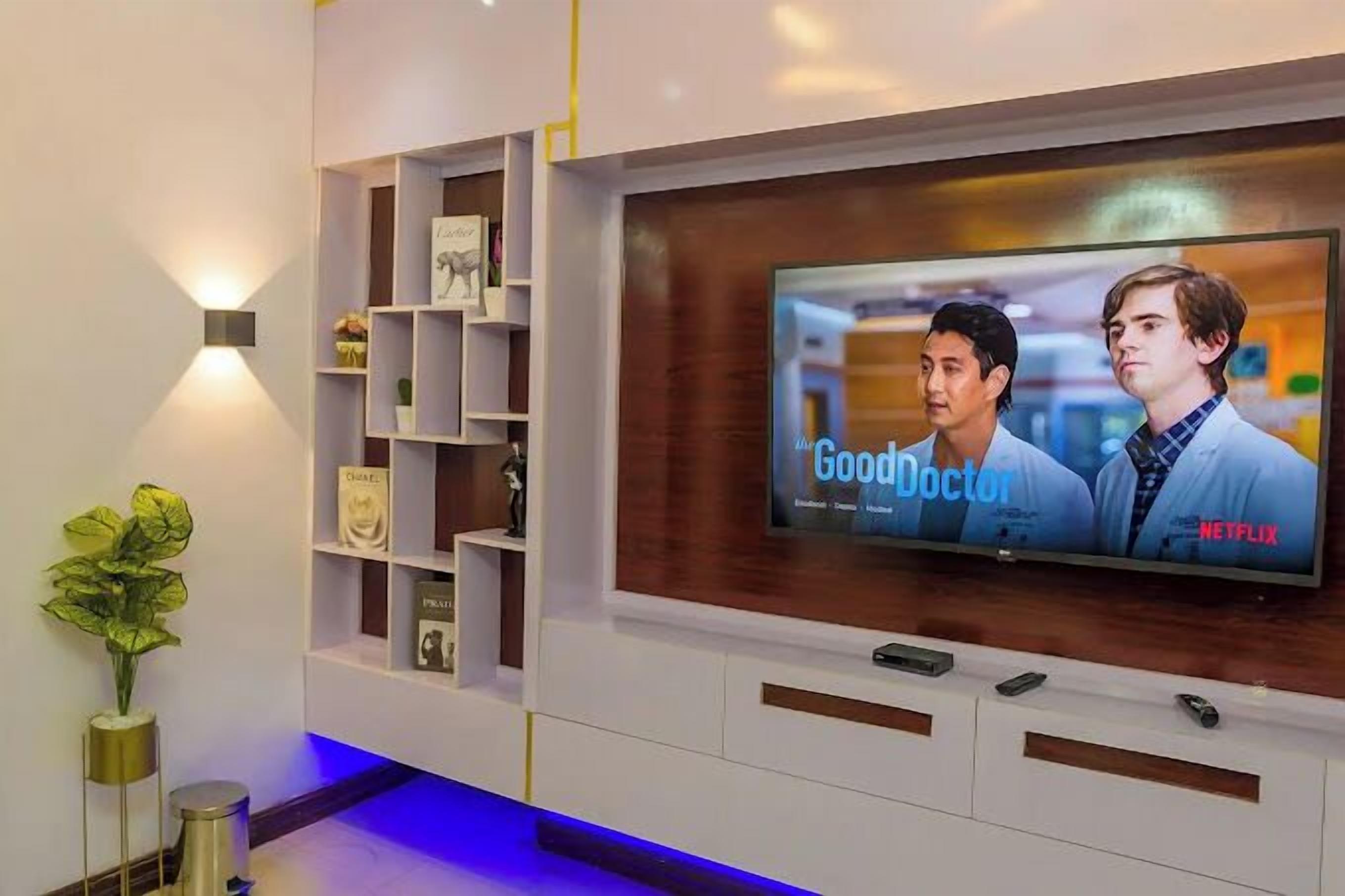 A modern living room with a flat-screen TV displaying 'Good Doctor' on Netflix, a built-in shelf unit, and a small plant.
