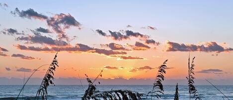 Condo, Multiple Beds (Colony Beach Club 120) | Beach