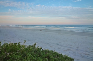 Condo, 1 King Bed with Sofa bed (Colony Beach Club 233) | Beach