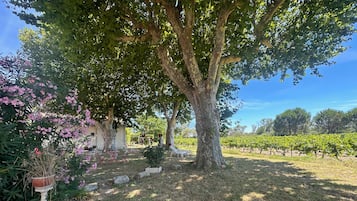 Jardines del alojamiento