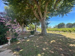 Terrain de lâhĂ©bergement