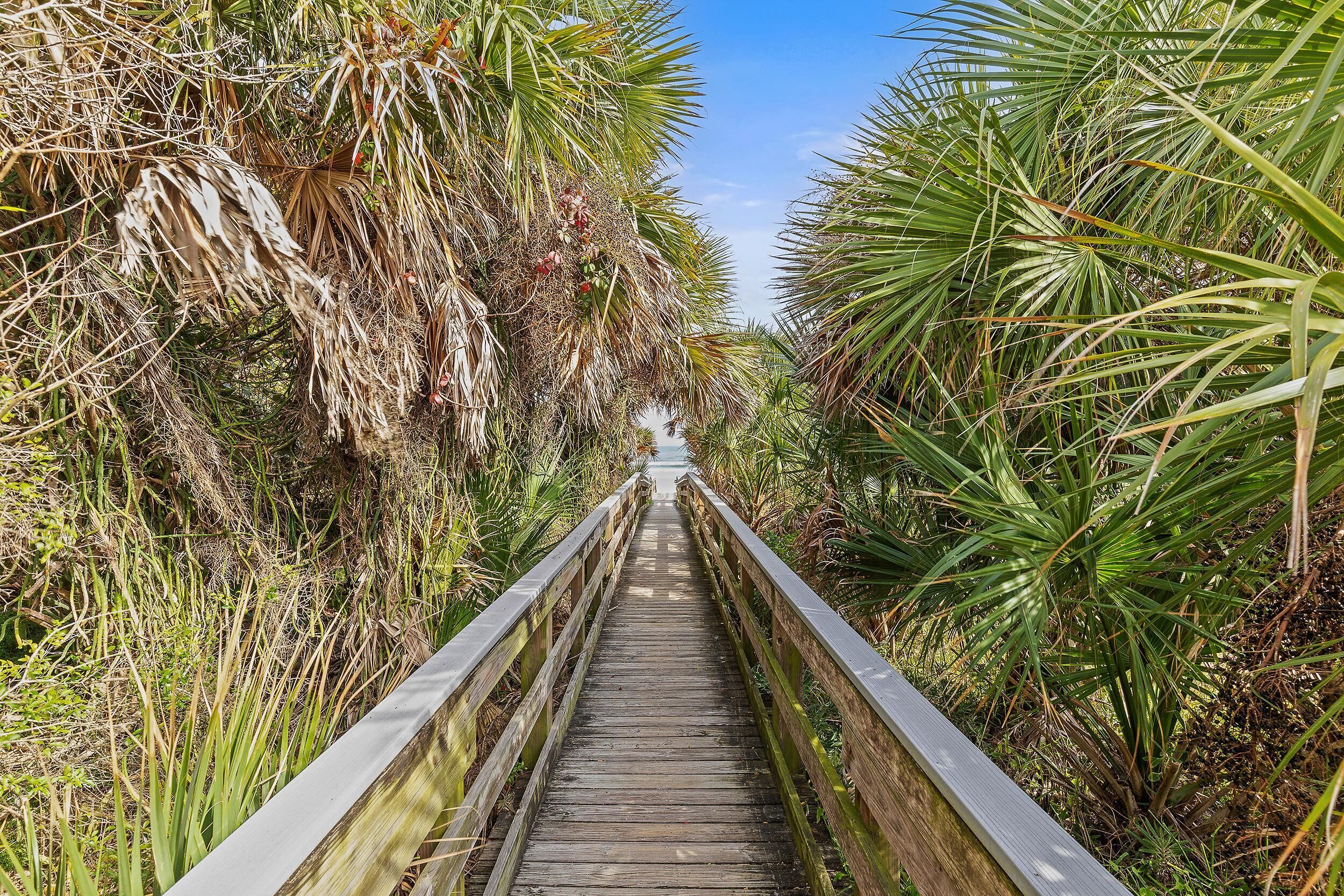 A wooden boardwalk surrounded by dense vegetation.