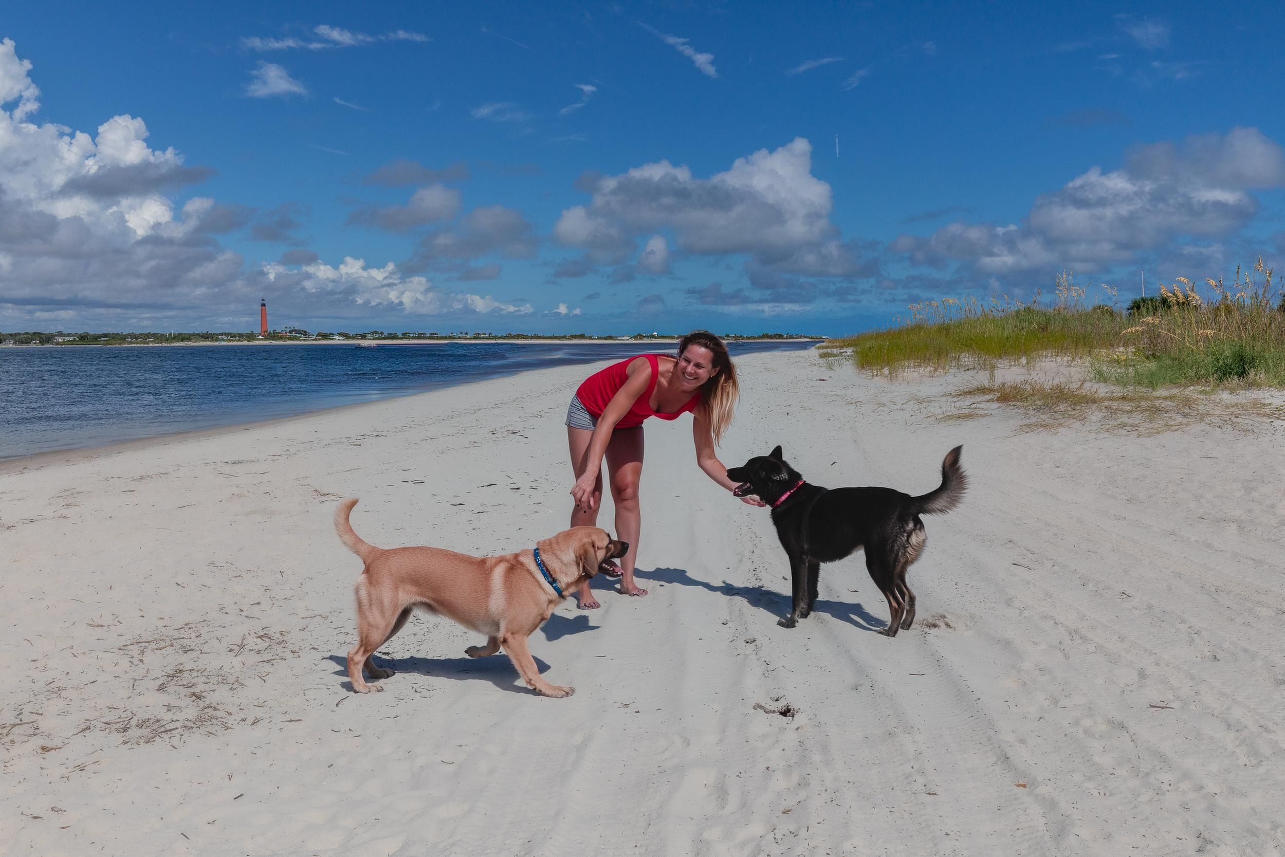 A beach with a lighthouse in the background, a person bending down, and two dogs on the sand.