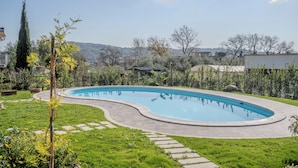 Una piscina curvada con borde de piedra, rodeada de césped y diversas plantas.
