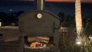 An outdoor pizza oven with a thermometer, surrounded by vegetation and a palm tree, set against a twilight sky.