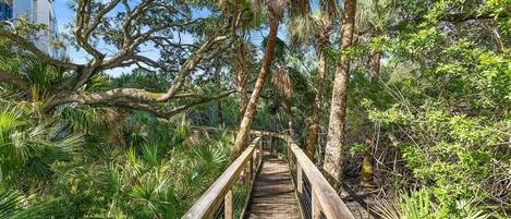 Condo, Multiple Beds (Oceanwalk 15-505) | Property grounds