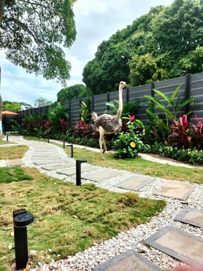 Family Room, Patio | Minibar, free WiFi, bed sheets