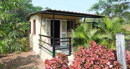 B type Cottage