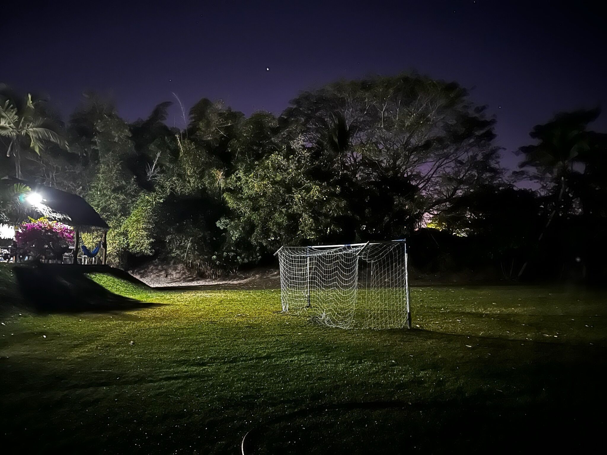A soccer goal in a grassy area at night with a light source to the left.