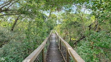 Condo, Multiple Beds (Oceanwalk 6-506) | Property grounds