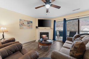 Smart TV, fireplace, books