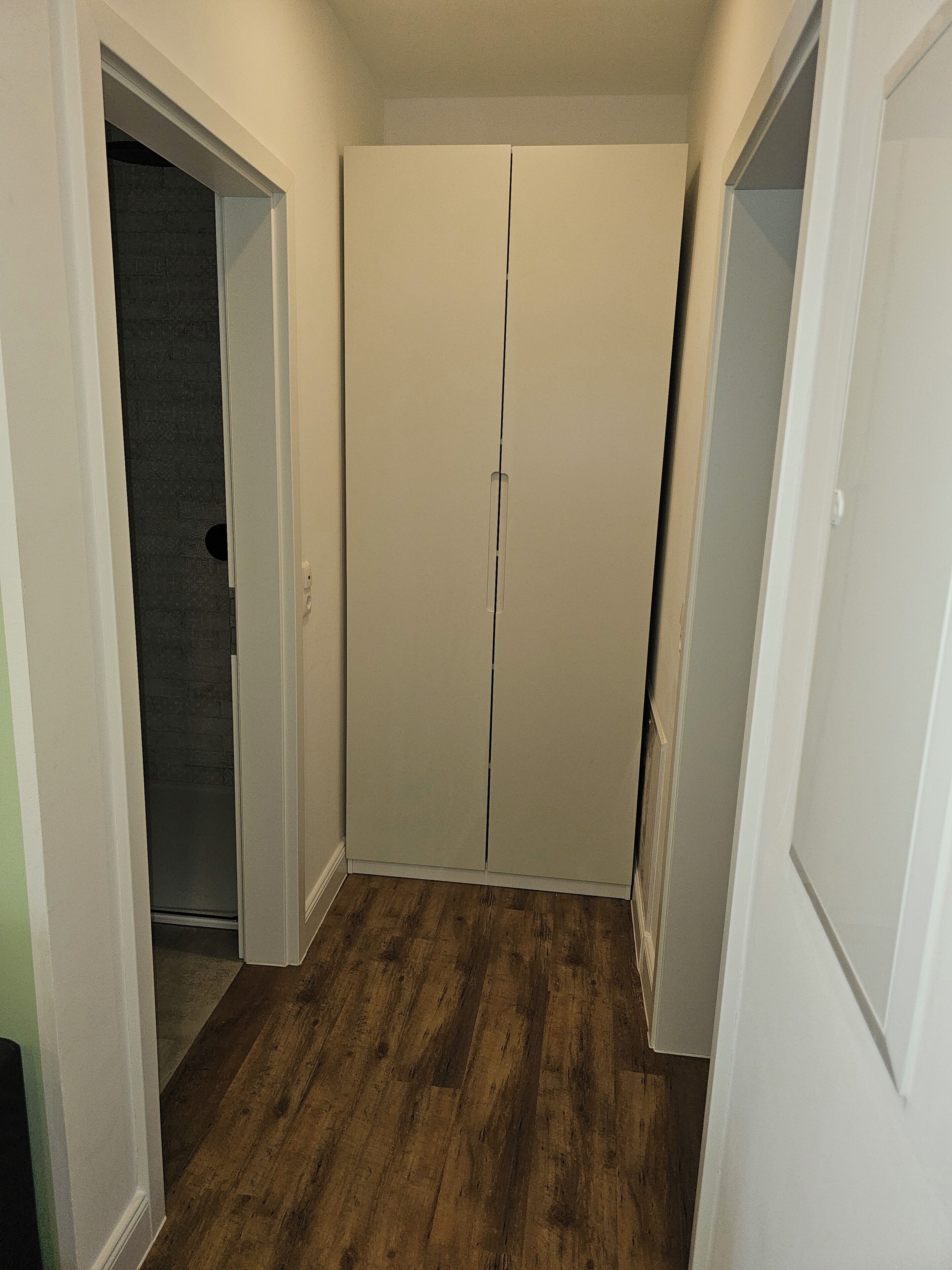 A hallway with a wooden floor leading to a closet with two doors.