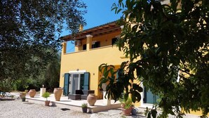 A yellow building with a stone pathway leading to the entrance, surrounded by potted plants and trees.