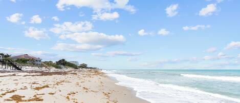 Playa en los alrededores, sombrillas y toallas de playa
