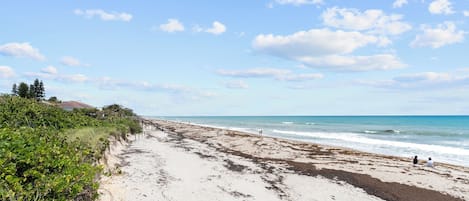 In Strandnähe, Sonnenschirme, Strandtücher