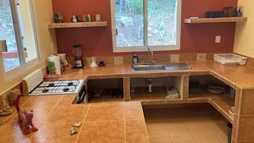 Horno y placa de cocina