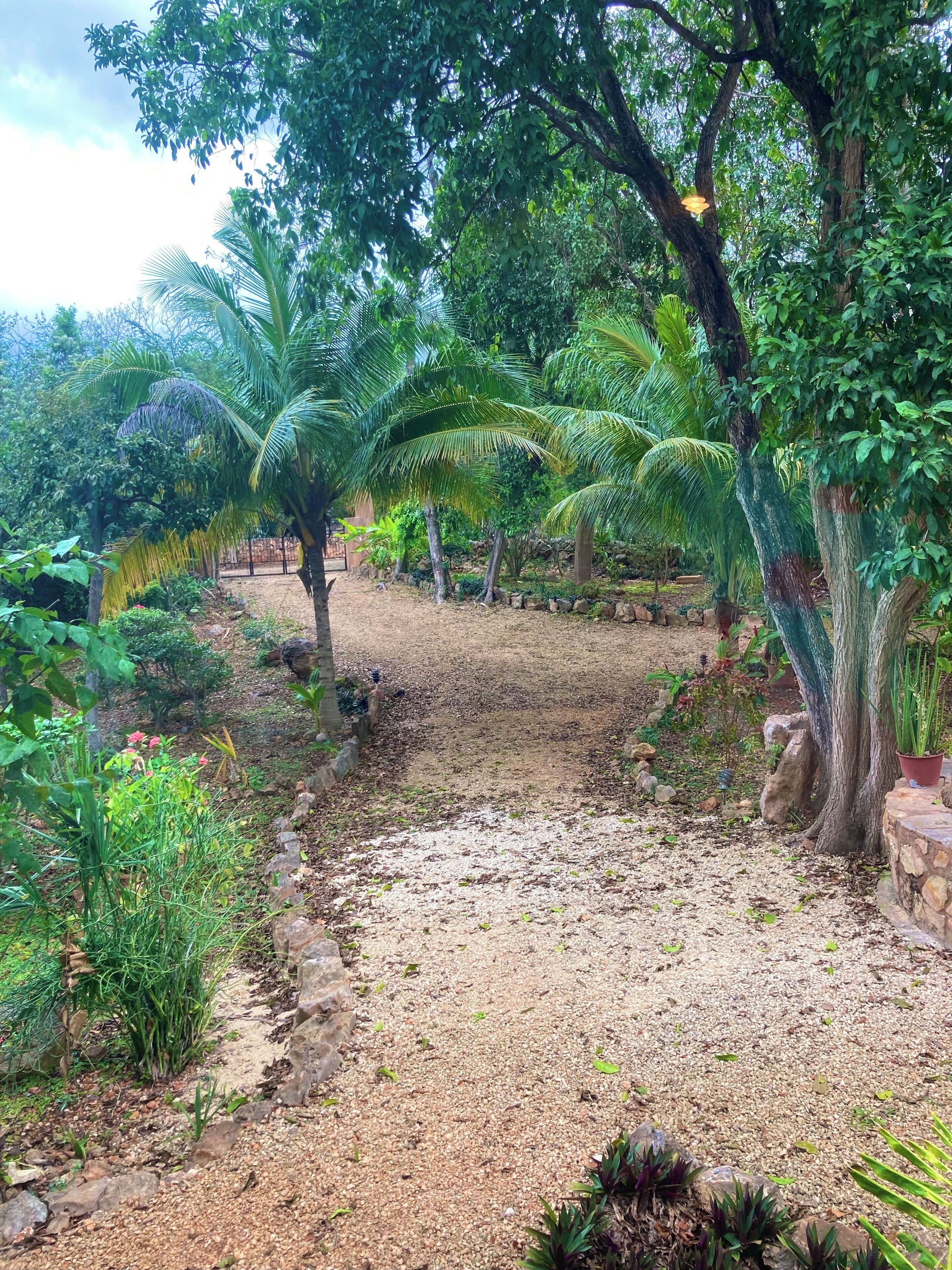 Overnattingsstedets uteområder