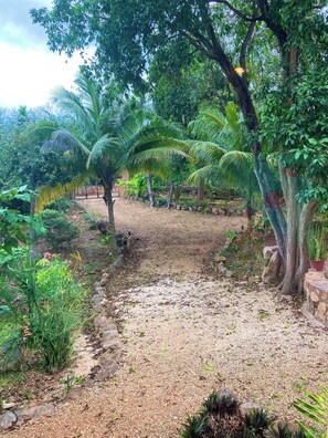 Property grounds - Private Quiet and Charming bungalow in serene Santa Elena with AC, WiFi (Santa Elena)