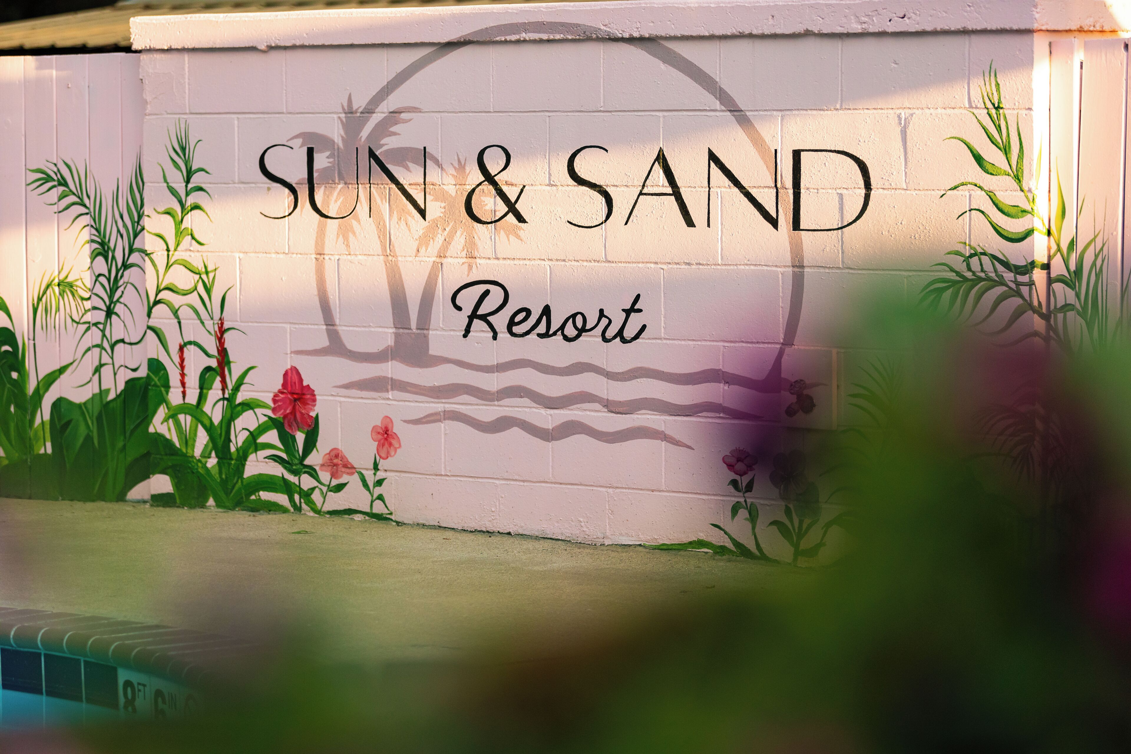 Seasonal outdoor pool, pool loungers