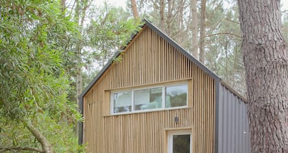 Casita Estudio entre los pinos de Punta Ballena (con gatitos)