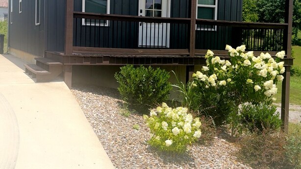 A single-story house with a covered porch, a front door, and a small garden with white flowers.