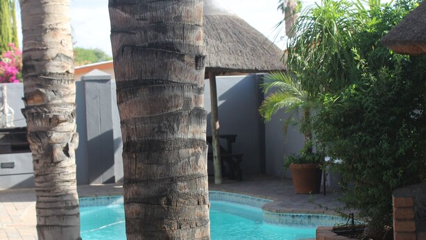 A pool area with palm trees, a thatched-roof structure, and a checkered tile pattern. - Falcon Guesthouse (Upington)