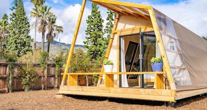 Urban Glamping Oasis: Comfort & Adventure Combined