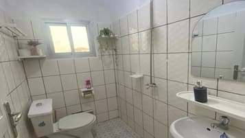 Jetted tub, bidet, soap, toilet paper