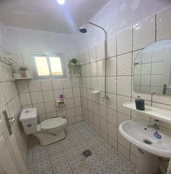 Un bagno piccolo con il water, lavabo e doccia. Si vedono mensole con piante e articoli da toilette.