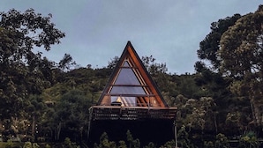 Una cabaña de madera triangular con techo de vidrio, rodeada de un bosque denso.