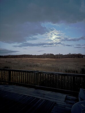 Property grounds - Stunning Sunsets & Coastal Charm in Milford! (Milford)