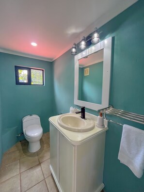 Sèche-cheveux, savon, papier toilette