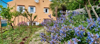 Cozy 2-Bedroom Holiday Retreat Sleeps 4 - Pet Friendly