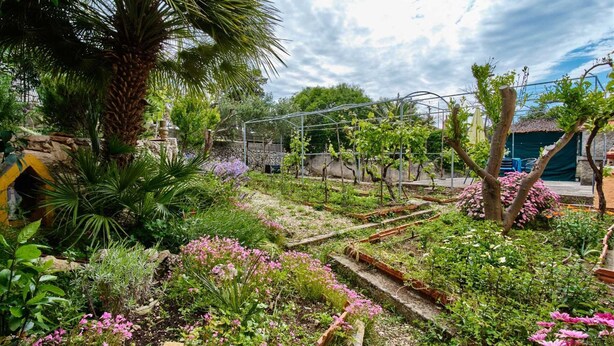 Un jardín con diversas plantas, una palmera y una estructura de celosía metálica.