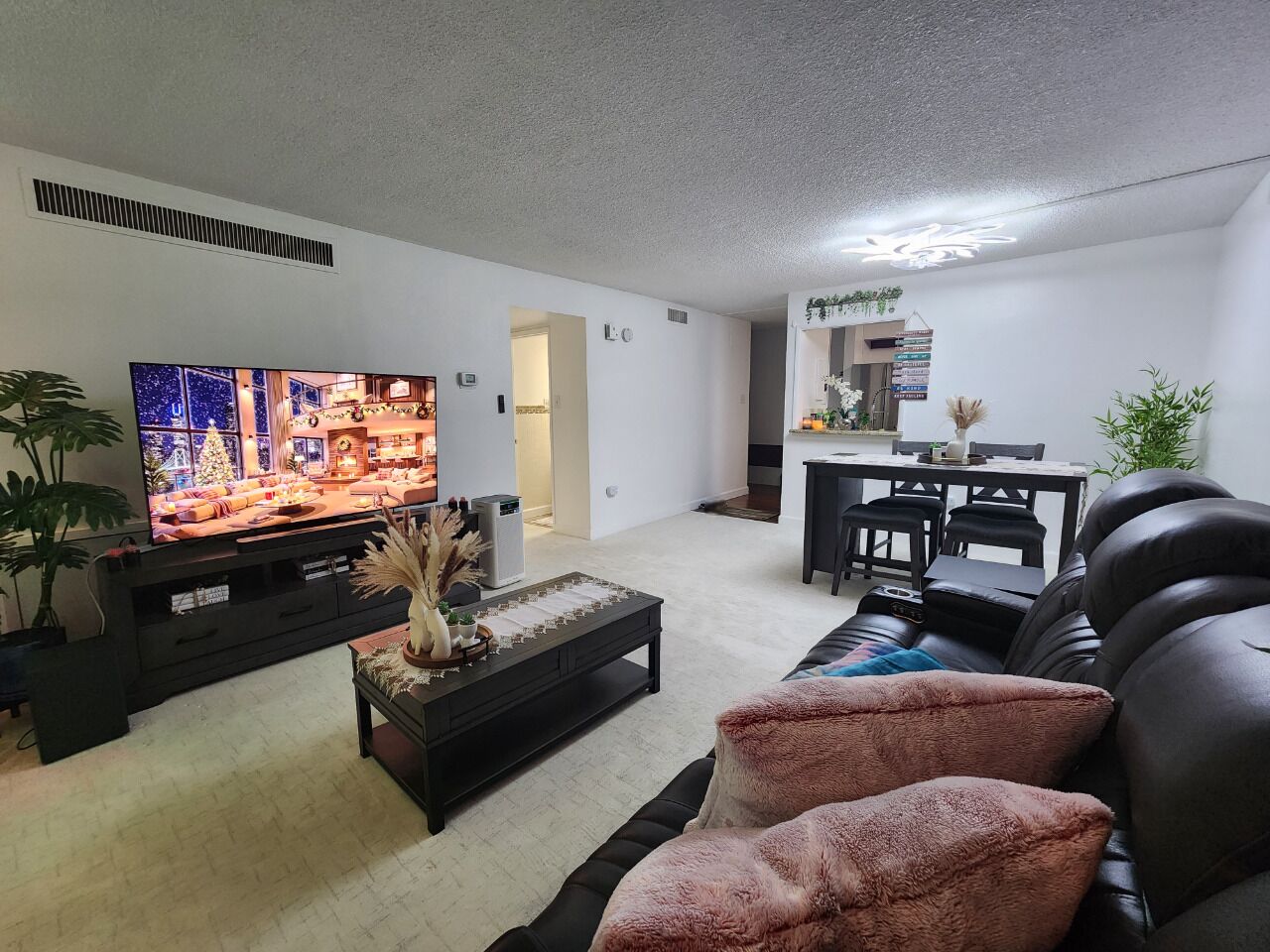 Smart TV, video library, stereo, computer monitors