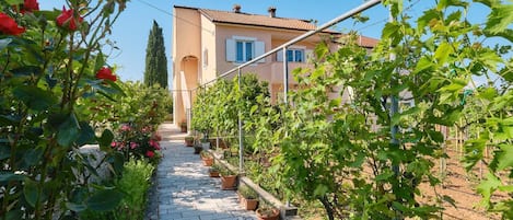 Jardines del alojamiento
