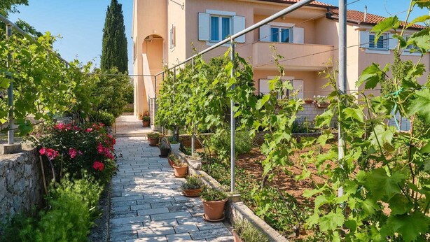 A pathway leading to a building with a tiled roof and a garden with grapevines. - Charming 2-Bedrooms Apartment in Nerezine (Nerezine)